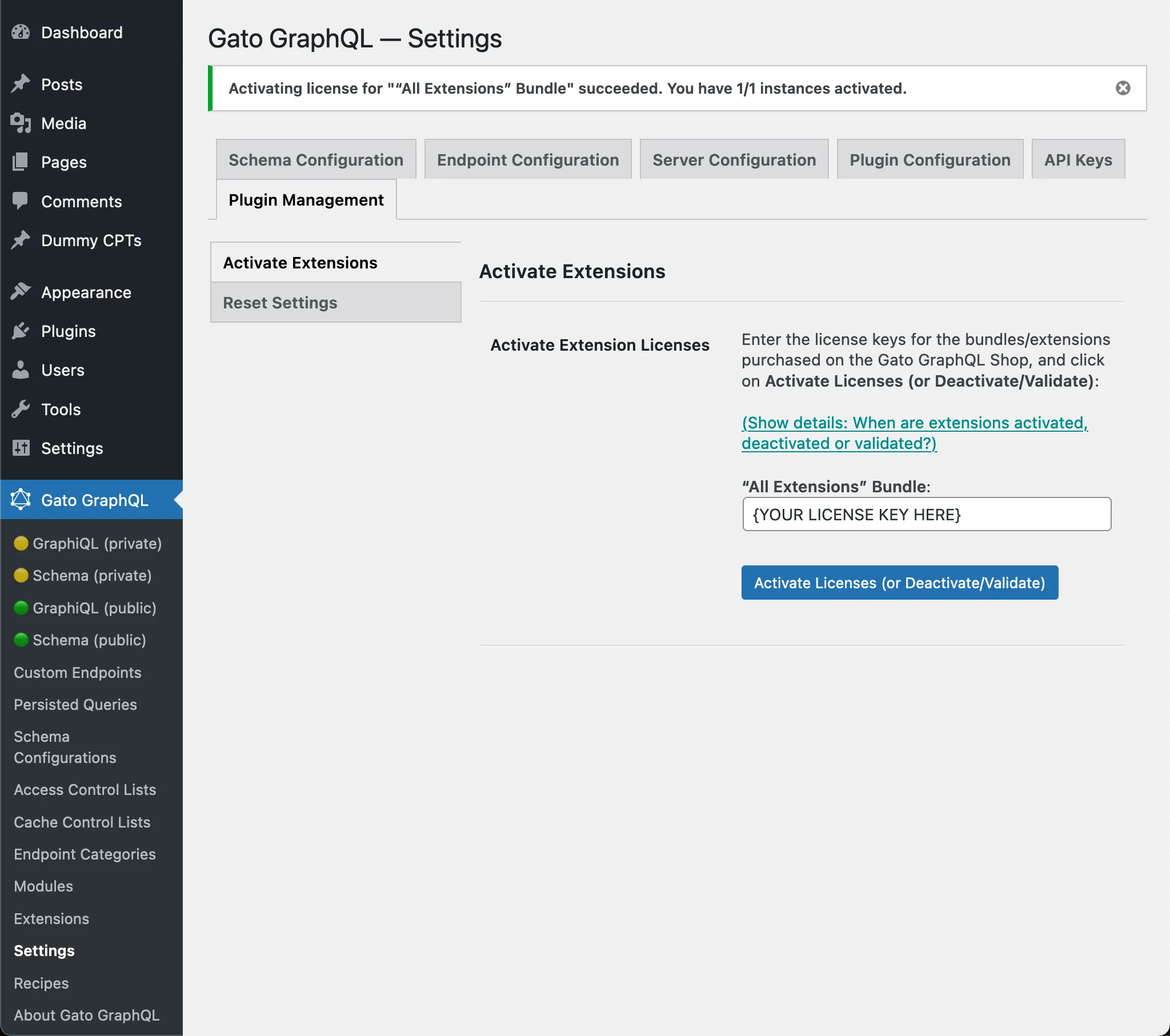 Plugin activado