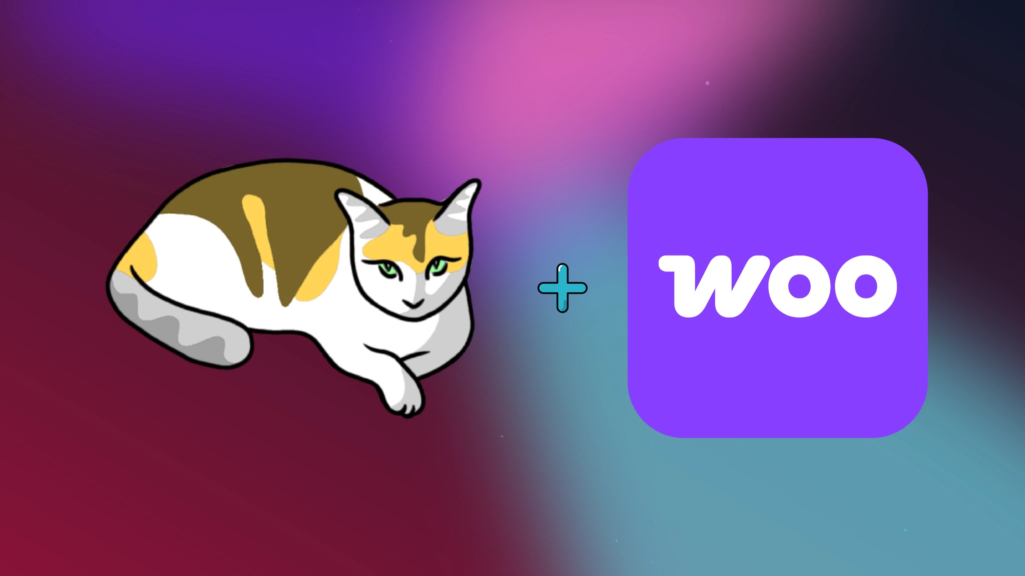 Extensión WooCommerce para Gato GraphQL